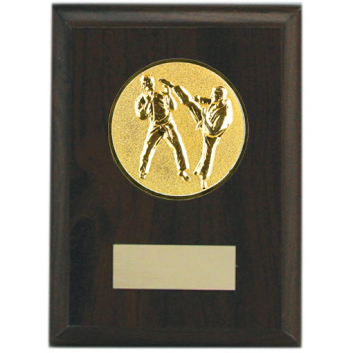 Budget wooden martial arts plaque 5'' - choice of sports centre 